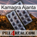 Kamagra Ajanta 31